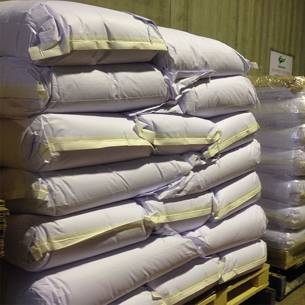 New Zealand's Finest: From Pastures to Premium Milk Powder